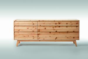 Pinus_006